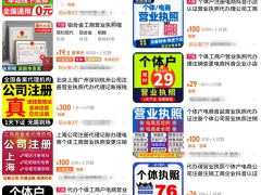 拆解月入8000+代办营业偏门套路