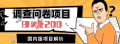 拆解月入2000+的国内问卷调查项目