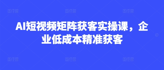 AI短视频矩阵获客实操课，企业低成本精准获客-偏门项目网