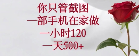 你只管截图，一部手机在家做，一小时120.一天5张【揭秘】-偏门项目网