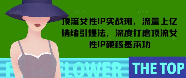 顶流女性IP实战班，流量上亿情绪引爆法，深度打磨顶流女性IP硬核基本功-偏门项目网