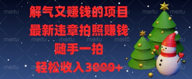 解气又挣钱的项目，最新违章拍照挣钱，随手一拍，轻松收入数张【揭秘】-偏门项目网