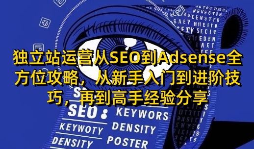 独立站运营从SEO到Adsense全方位攻略，从新手入门到进阶技巧，再到高手经验分享-偏门项目网