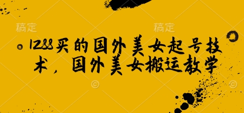 1288买的国外美女起号技术，国外美女搬运教学-偏门项目网
