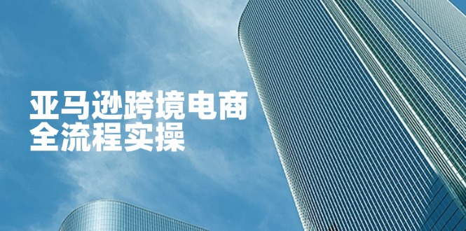 亚马逊跨境电商全流程实操，教你从零开始，掌握店铺运营与广告技巧-偏门项目网