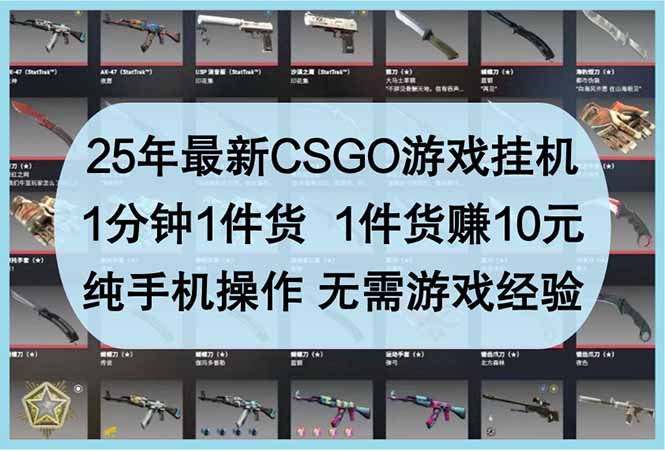 25年最新CSGO游戏挂机，1分钟1件货，1件货赚10元 纯手机操作 无需游戏经验-偏门项目网