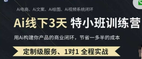 AI实操培训第20-21期线下，0基础保姆级教程，3月最新整理，企业获客、降本增效、打造超级个体-偏门项目网