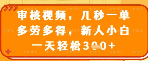 审核视频，几秒一单，多劳多得，新人小白一天轻松3张【揭秘】-偏门项目网