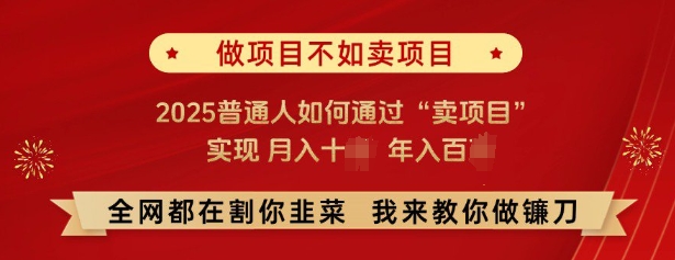 必看，做项目不如卖项目，2025普通人如何通过“卖项目”实现月入十个，年入百个-偏门项目网