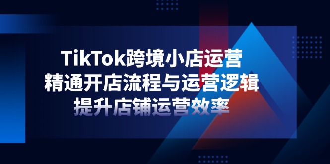 TikTok跨境小店运营，精通开店流程与运营逻辑，提升店铺运营效率-偏门项目网