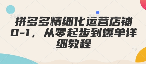 拼多多精细化运营店铺0-1，从零起步到爆单详细教程-偏门项目网