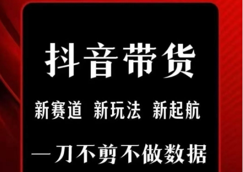 抖音短视频一刀不剪带货，不剪辑，不直播，每天发个视频，等着出单获取带货佣金-偏门项目网