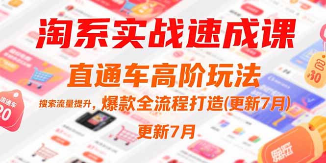 淘系实战速成课，直通车高阶玩法，搜索流量提升，爆款全流程打造(更新7月-偏门项目网
