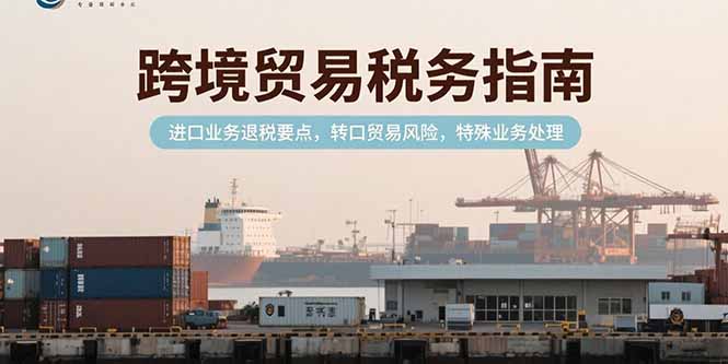 跨境贸易税务指南，进口业务退税要点，转口贸易风险，特殊业务处理-偏门项目网