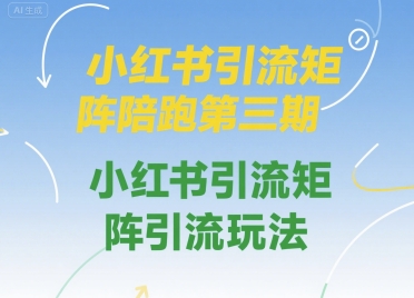 小红书引流矩阵陪跑第三期，小红书引流矩阵引流玩法-偏门项目网