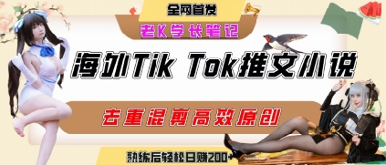 海外tiktok小说推文暴力项目，高停留率，高转化率，上手后一天搞顿饭钱不是问题-偏门项目网