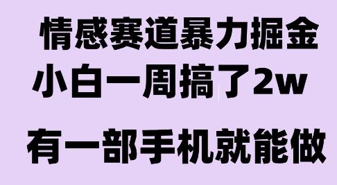 情感暴力掘金项目，新人操作一周挣了2W，长期稳定小白可做【揭秘】-偏门项目网