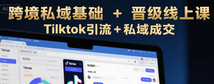 跨境私域基础+晋级线上课，Tilktok引流+私域成交-偏门项目网