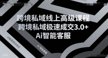 跨境私域线上高级课程，跨境私域极速成交3.0+Ai智能客服-偏门项目网