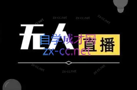 宝子哥·无人直播-非实时防风技术(更新7月)-偏门项目网