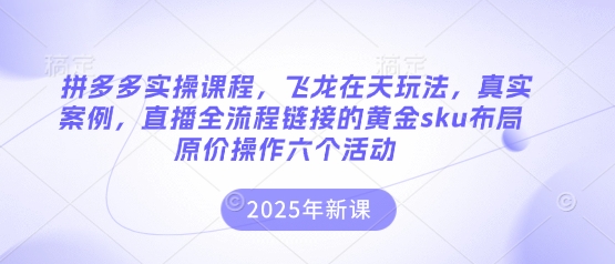 拼多多实操课程，飞龙在天玩法，真实案例，直播全流程链接的黄金sku布局原价操作六个活动-偏门项目网