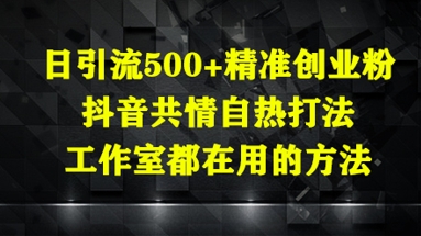 日引流500+精准创业粉，抖音共情自热打法，工作室都在用的方法-偏门项目网