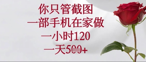 你只管截图，一部手机在家操作，一小时120.一天5张【揭秘】-偏门项目网