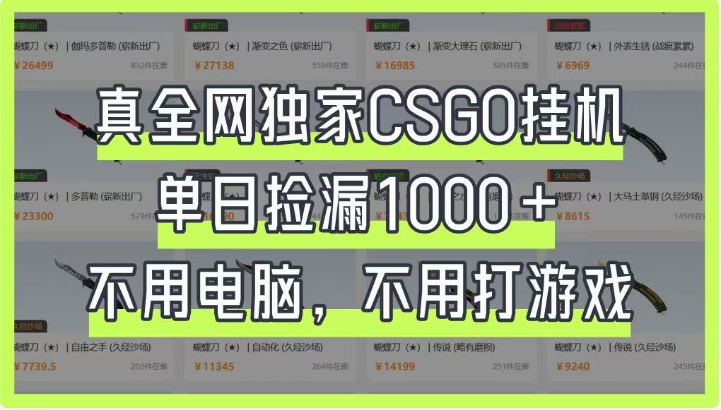 真全网独家CSGO挂机，单日捡漏1000+，不用电脑，不用养号-偏门项目网