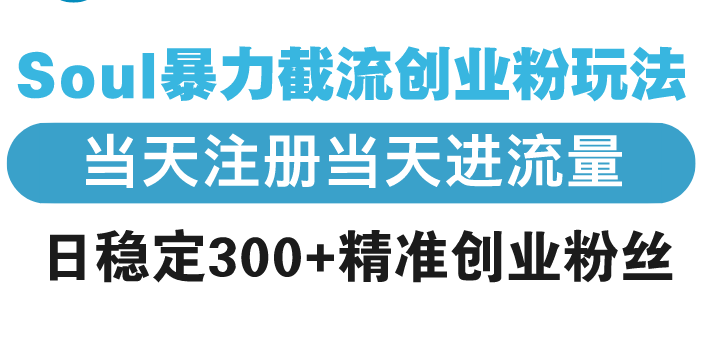 Soul暴力截流创业粉玩法，当天注册当天进流量，日稳定300+精准创业粉丝-偏门项目网