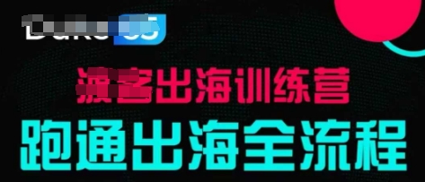 出海训练营基础课，​跑通出海全流程，实战案例拆解-偏门项目网