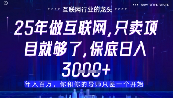 什么！25年你还在找项目做？风口早就变了，卖项目才是稳挣不赔【揭秘】-偏门项目网