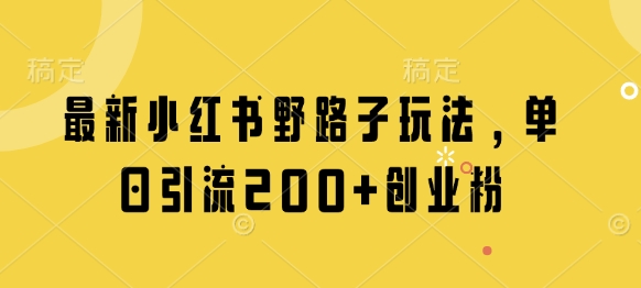 最新小红书野路子玩法，单日引流200+创业粉-偏门项目网