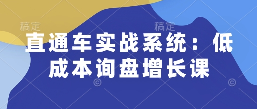 直通车实战系统：低成本询盘增长课，让个人通过技能实现升职加薪，让企业低成本获客，订单源源不断-偏门项目网