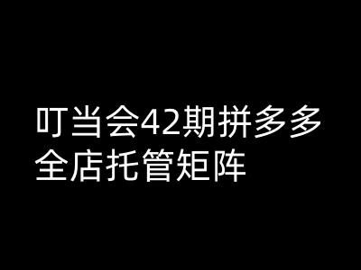 叮当会拼多多打爆班原创高阶技术第42期，拼多多全店托管矩阵-偏门项目网