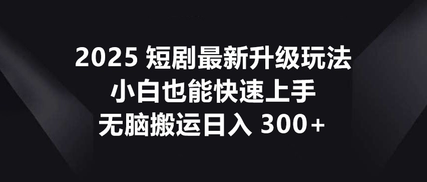 2025短剧最新升级玩法，小白也能快速上手，无脑搬运日入300+-偏门项目网