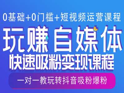 0基础+0门槛+短视频运营课程，玩赚自媒体快速吸粉变现课程，一对一教玩转抖音吸粉爆粉-偏门项目网
