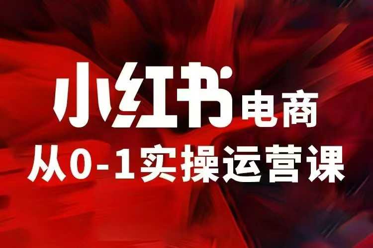 小红书电商运营，97节小红书vip内部课，带你实现小红书赚钱-偏门项目网