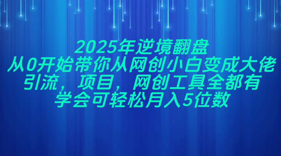 2025年逆境翻盘，从0开始带你从网创小白变成大佬，引流，项目，网创工…-偏门项目网