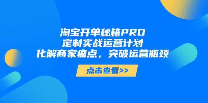 淘宝开单秘籍PRO，定制实战运营计划，化解商家痛点，突破运营瓶颈-偏门项目网
