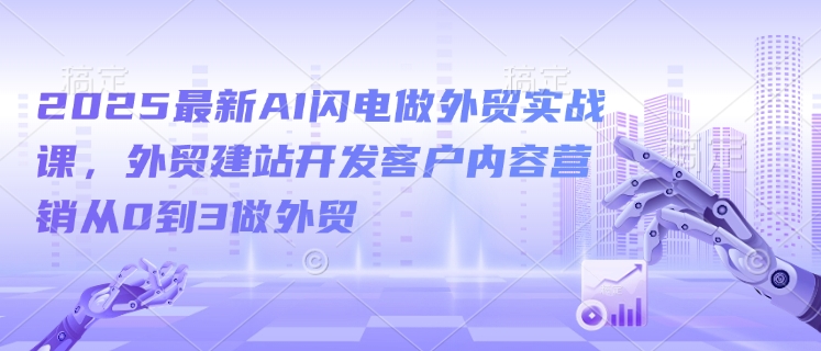 2025最新AI闪电做外贸实战课，外贸建站开发客户内容营销从0到3做外贸-偏门项目网