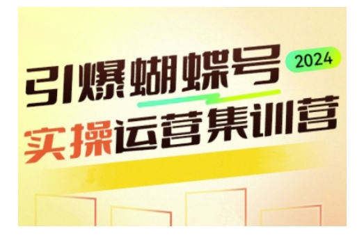 引爆蝴蝶号实操运营，助力你深度掌握蝴蝶号运营，实现高效实操，开启流量变现之路-偏门项目网