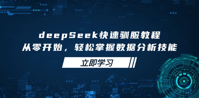 deepSeek快速驯服教程，从零开始，轻松掌握数据分析技能-偏门项目网