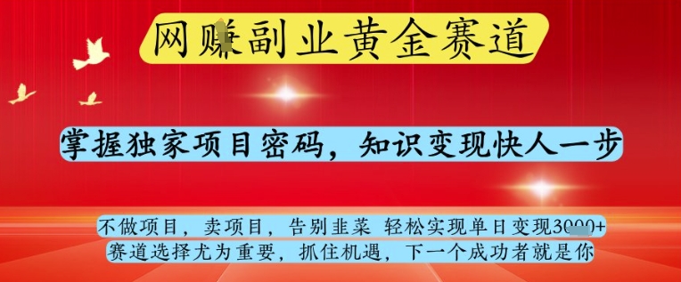 网创副业黄全赛道，掌握独家项目密码，知识变现快人一步，告别韭菜轻松实现单日变现1k+【揭秘】-偏门项目网