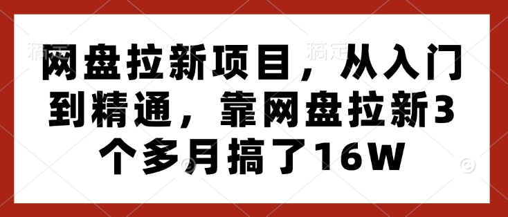 网盘拉新项目，从入门到精通，靠网盘拉新3个多月搞了16W-偏门项目网