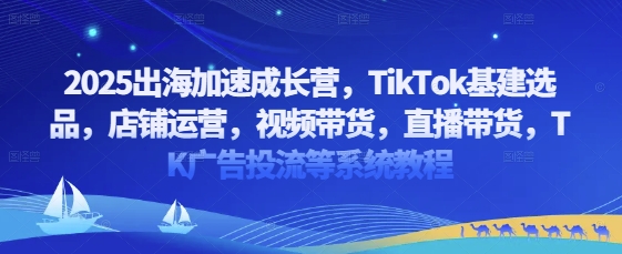 2025出海加速成长营，TikTok基建选品，店铺运营，视频带货，直播带货，TK广告投流等系统教程-偏门项目网