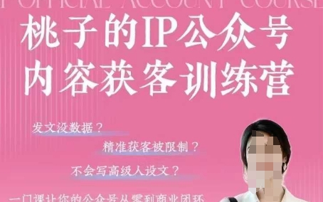 桃子IP公众号内容获客训练营(第3期)，一门让你公众号从0到商业闭环的课程-偏门项目网