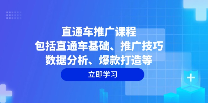 直通车推广课程：包括直通车基础、推广技巧、数据分析、爆款打造等-偏门项目网