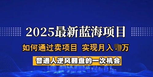 2025蓝海项目，普通人如何通过卖项目，实现月入过W，全过程【揭秘】-偏门项目网
