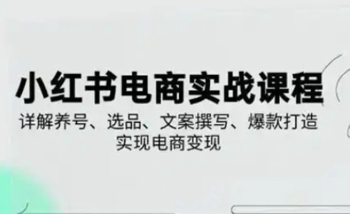 小红书从0-1实操课(2023-2025)，详解养号、选品、文案撰写、爆款打造实现电商变现-偏门项目网