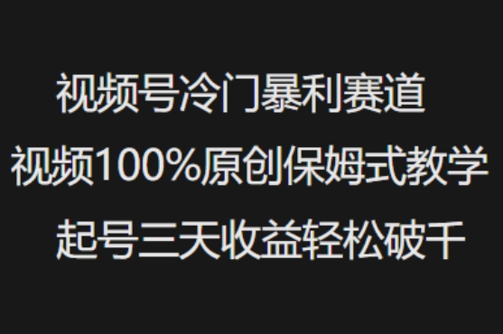 视频号冷门暴利赛道视频100%原创保姆式教学起号三天收益轻松破千-偏门项目网